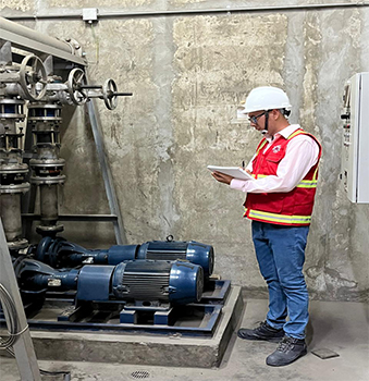 Inspección BPC
